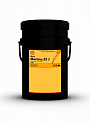 SHELL MORLINA S2 B 150 масло циркуляционное, канистра 20 л