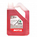 MOTUL VISION (-20) BLACK CURRANT (жидкость с/омывателя, незамерзающая), кан.4л MOTUL VISION (-20) BLACK CURRANT (жидкость с/омывателя, незамерзающая), кан.4л