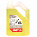 MOTUL VISION (-20) SWEET MELON (жидкость с/омывателя, незамерзающая), кан.4л